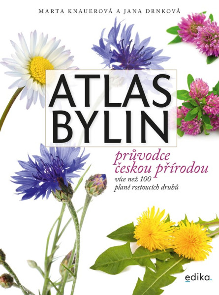 Atlas bylin