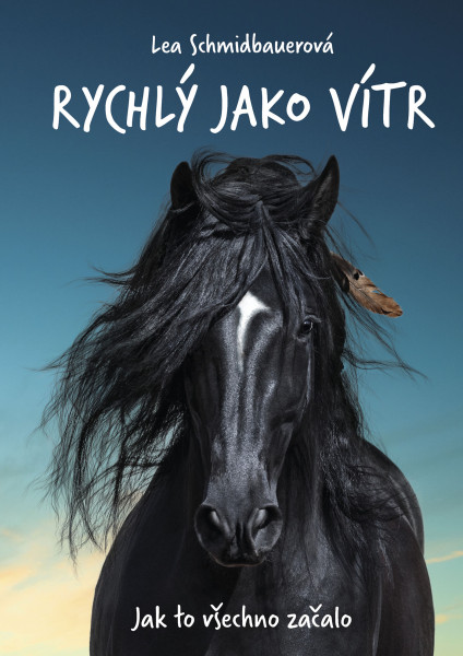 Rychlý jako vítr: Jak to všechno začalo