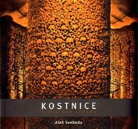 Kostnice