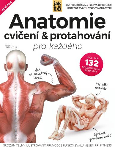 Anatomie cvičení & protahování pro každého