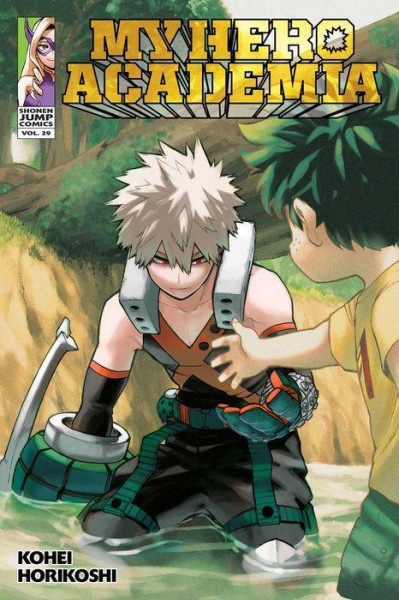 My Hero Academia 29